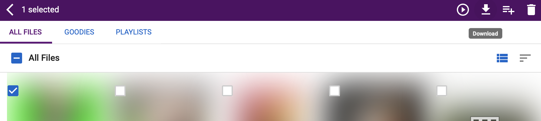 Download a single file
