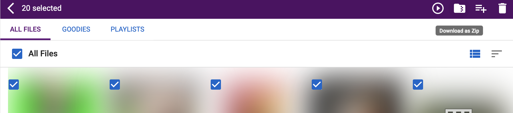 Download as Zip