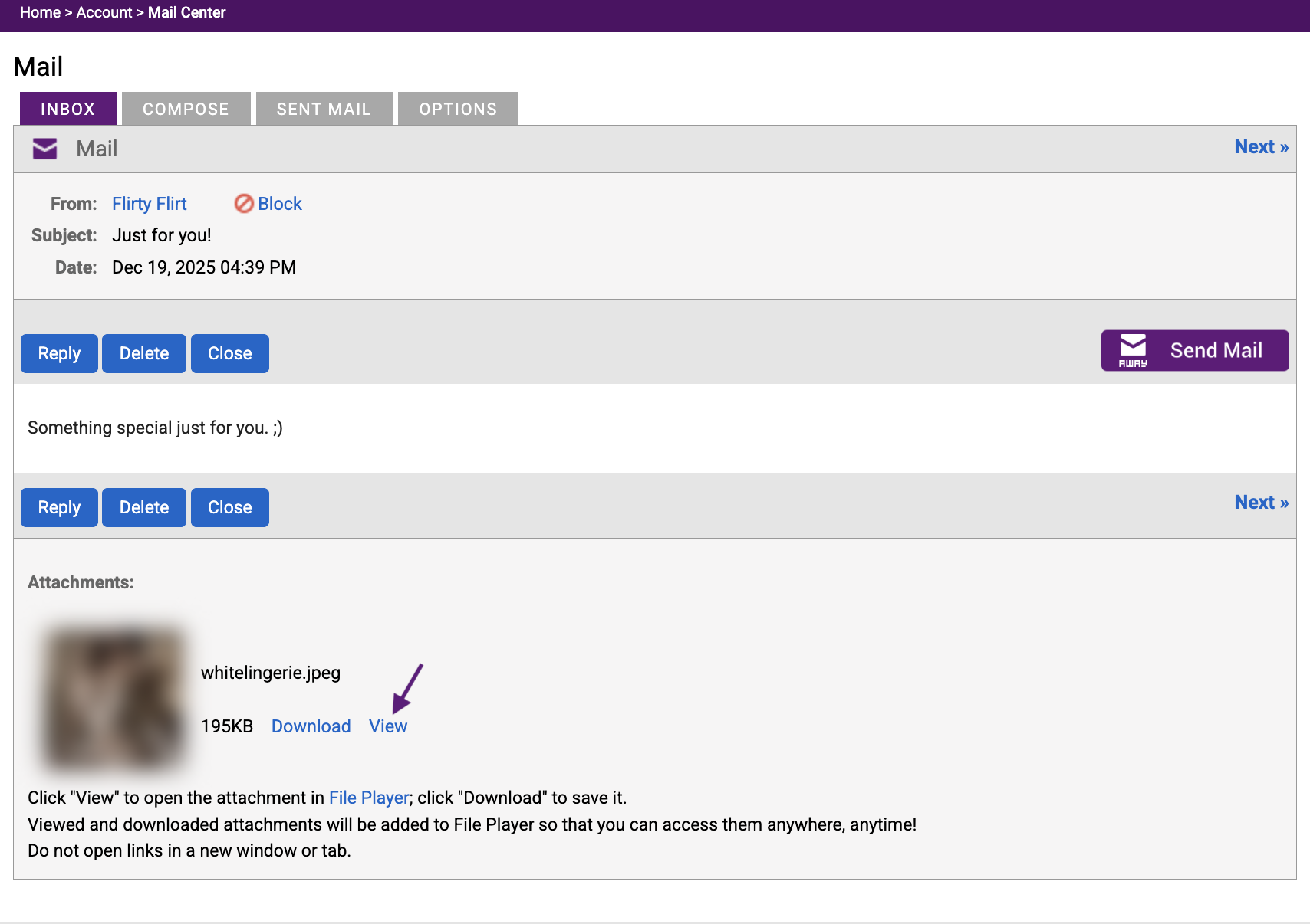Viewing an NF Mail attachment