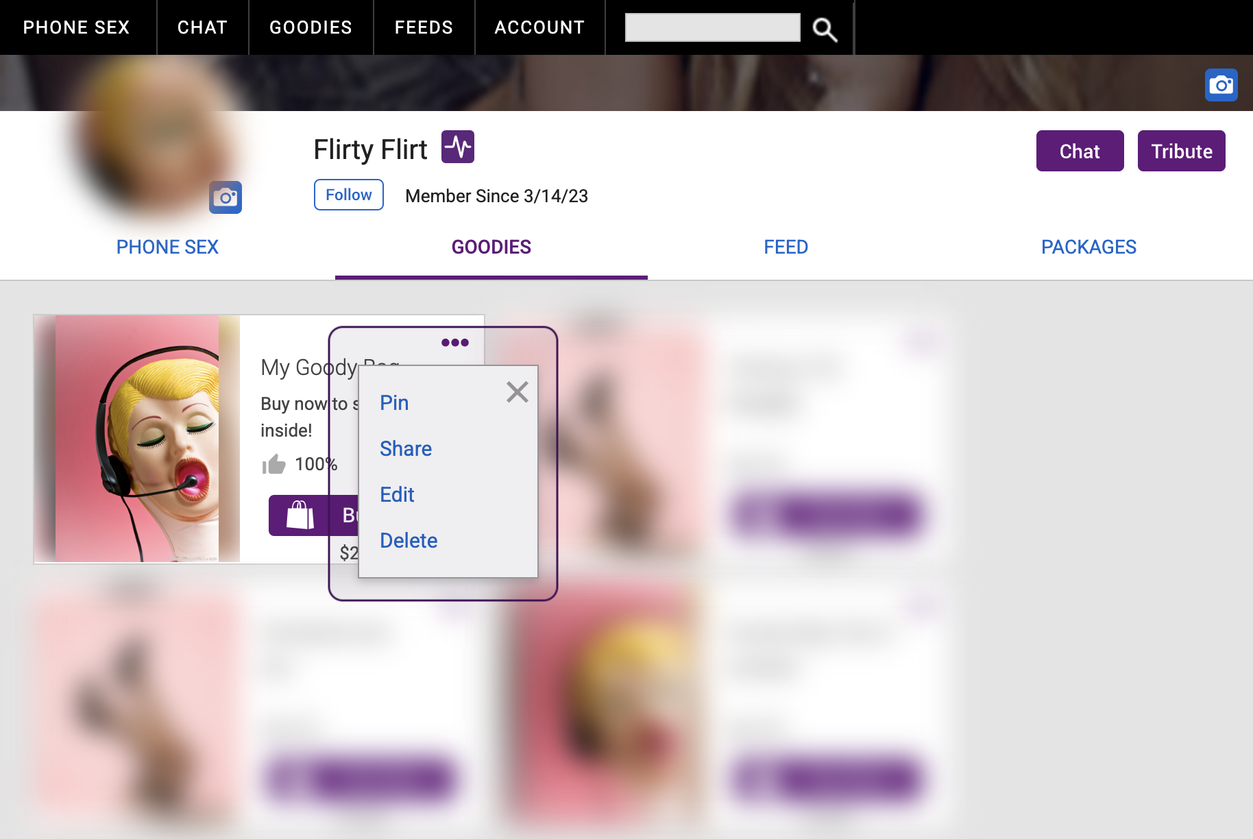 Storefront Goodies tab
