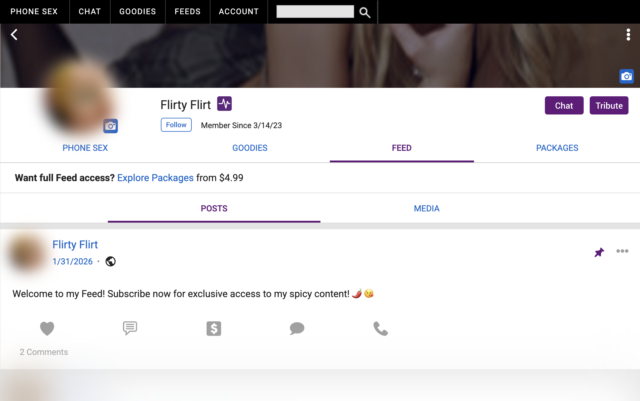 Storefront Feed tab