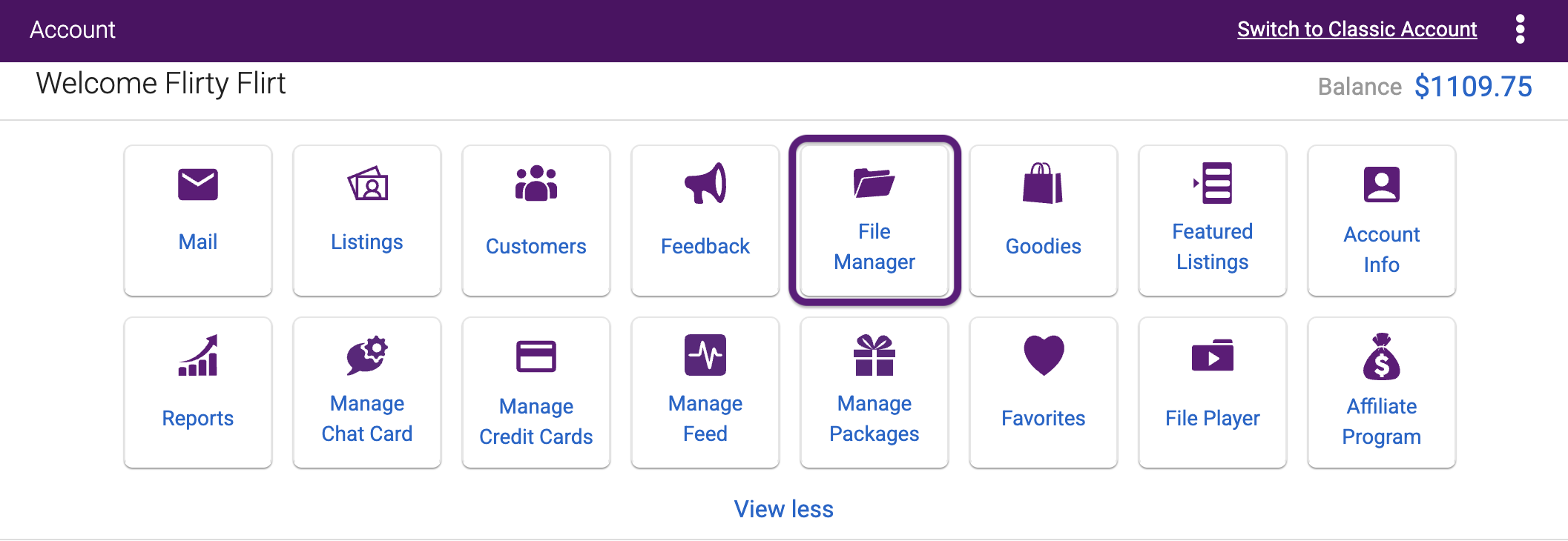 File Manager access