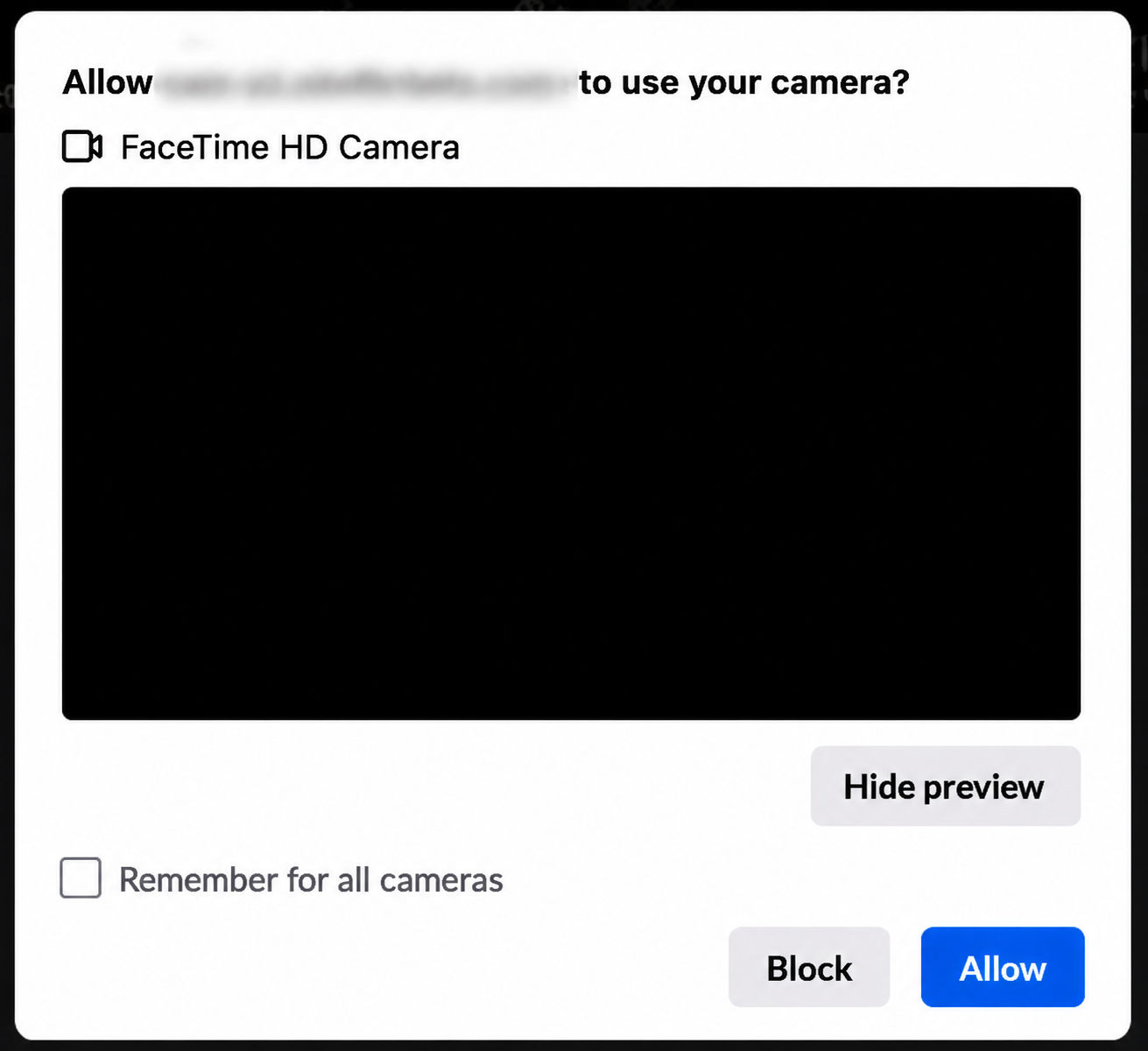 Cam setup screen with camera and microphone preview