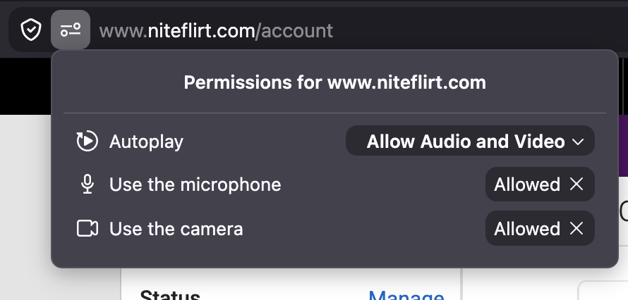 Firefox camera and microphone permissions for NiteFlirt