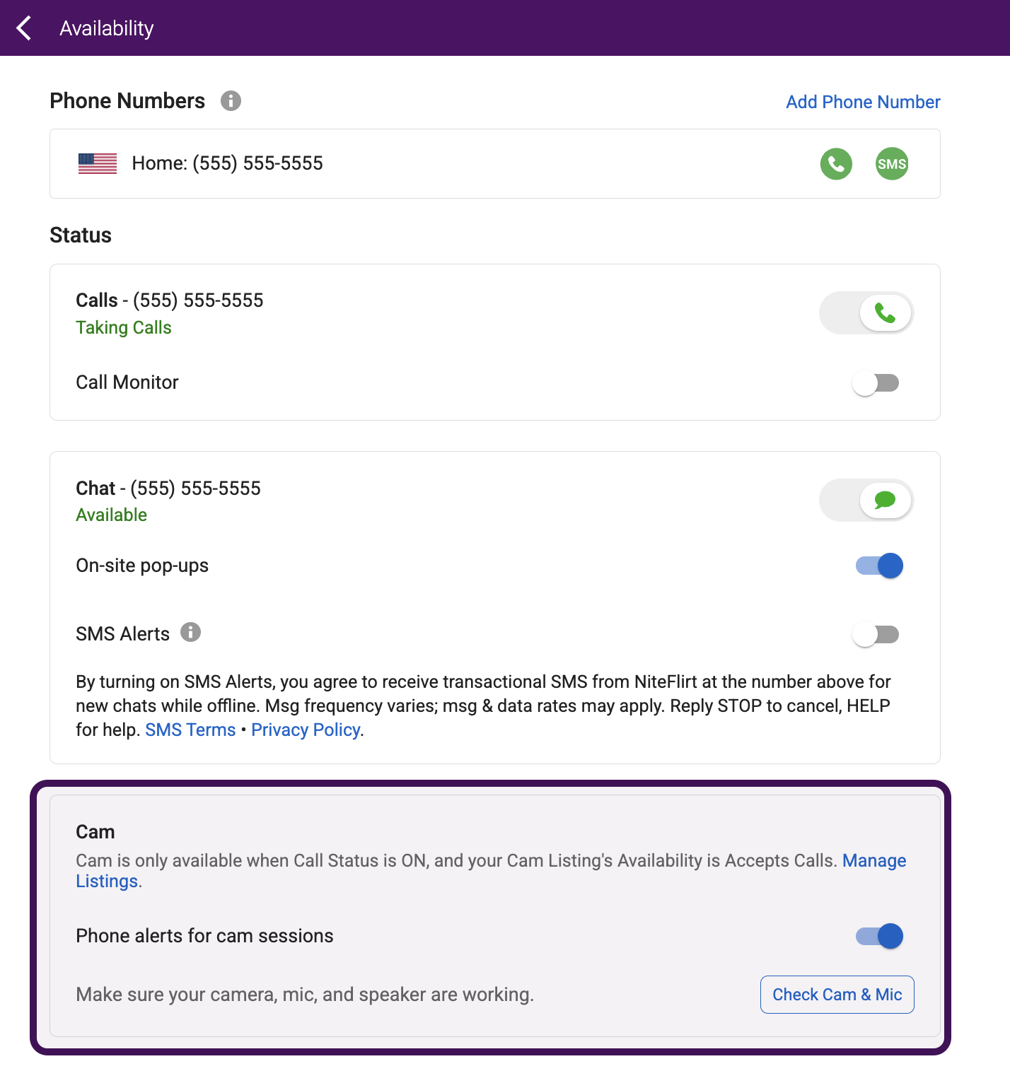 Cam & Mic Check option in Account Availability